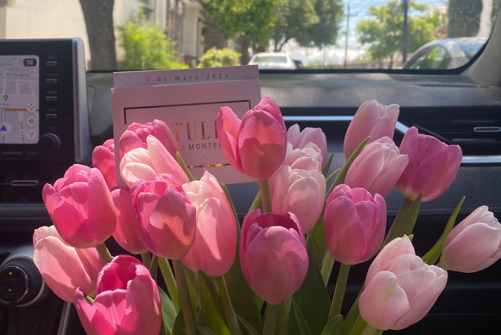 Tulipanes