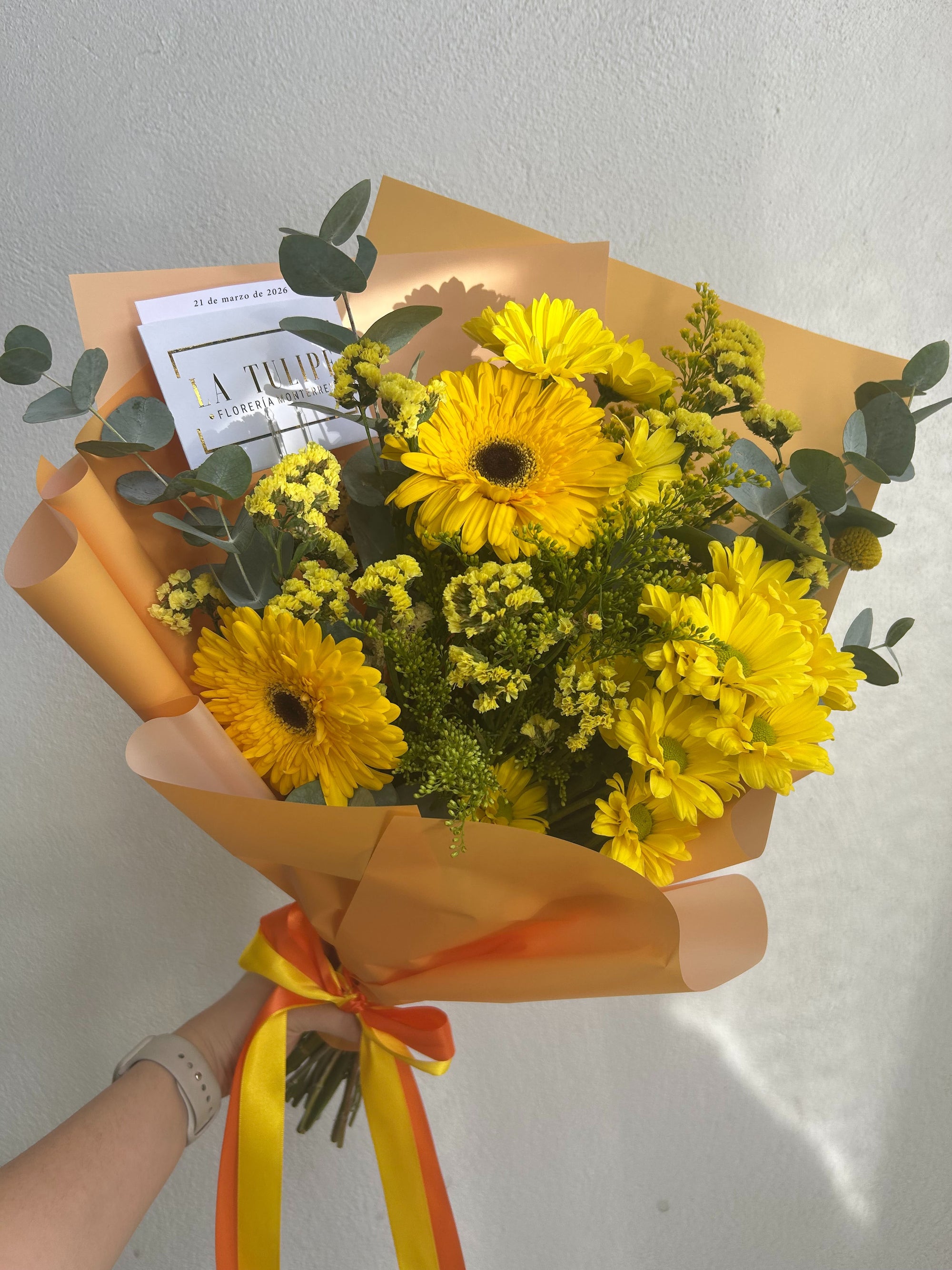 Gerberas