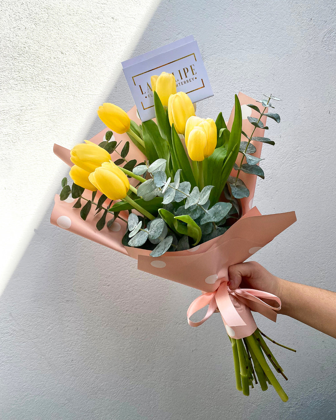 Tulipanes